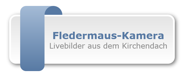 Fledermaus-Kamera